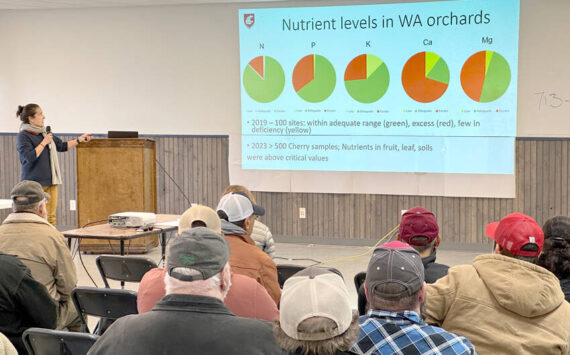 Bernardita Sallato, with WSU Extension, spoke on apple and cherry fertility and Getting the most bang for your buck at the 2025 Okanogan Horticultural Society meeting. Gary De Von/GT file photo