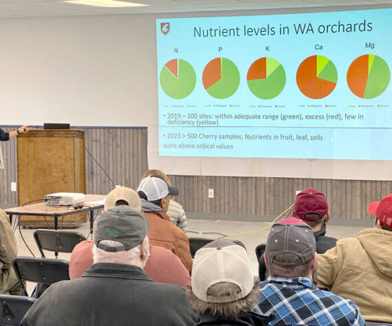 Bernardita Sallato, with WSU Extension, spoke on apple and cherry fertility and Getting the most bang for your buck at the 2025 Okanogan Horticultural Society meeting. Gary De Von/GT file photo