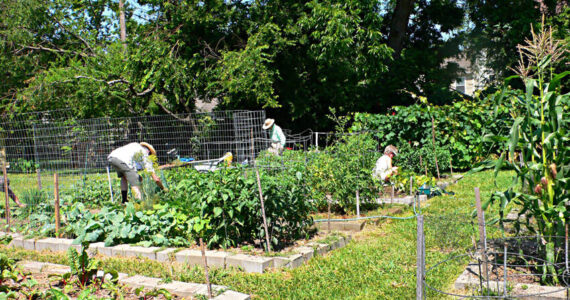 Okanogan County Community Action Councils Harvesting Hope Community Garden initiative is growing across Okanogan County. OCCAC says, These gardens are more than just places to grow fresh producetheyre spaces for learning, connection, and empowerment. Each garden is built with the local community in mind, reflecting the traditions, cultures, and needs of the people who use them. OCCAC photo