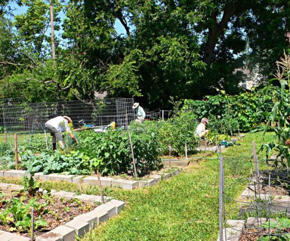 Community Action Council awarded $60K from Chick-fil-A, Inc