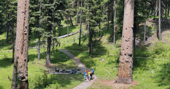 Hiking the Big Trees Trail near the Lost Lake Campground in the Tonasket Ranger District of the Colville National Forest. The Colville National Forest is seeking seasonal workers to do things like trail and facility maintenance, among other jobs. Gary DeVon/GT File Photo