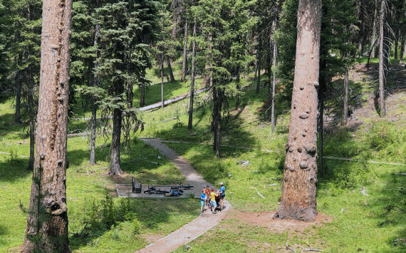 Hiking the Big Trees Trail near the Lost Lake Campground in the Tonasket Ranger District of the Colville National Forest. The Colville National Forest is seeking seasonal workers to do things like trail and facility maintenance, among other jobs. Gary DeVon/GT File Photo