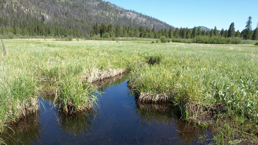 The fen, known locally as Bonaparte Meadows, or simply the bog, the property at the center of this effort lies below local landmark Mount Bonaparte and immediately downstream of Bonaparte Lake. OLT photo