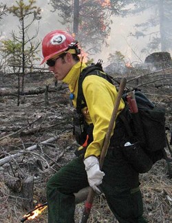 Photos by Amy VenezianoA firefighter continues to set fire while a ponderosa pine burns up in a crown fire behind him. Crown fires can send flames as much as 300 feet into the air.