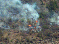 A fire on Whiskey Mountain being fought on Thursday, July 23. The fire, along with 97 others in Okanogan, Ferry, Stevens and Ponderay counties, as well as the north half of Lincoln County, were caused by lighting strikes from July 23 through Sunday, July