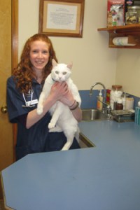 Kelly Schmidtbauer, shown here is a new veterinarian at the Alpine Veterinarian Clinic in Omak and has been since mid-April. Photo by Charlene Helm
