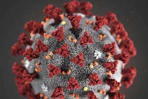 This illustration provided by the Centers for Disease Control and Prevention in January 2020 shows the 2019 Novel Coronavirus. This virus was identified as the cause of an outbreak of respiratory illness first detected in Wuhan, China. [CDC]