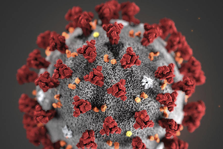 This illustration provided by the Centers for Disease Control and Prevention in January 2020 shows the 2019 Novel Coronavirus. This virus was identified as the cause of an outbreak of respiratory illness first detected in Wuhan, China. [CDC]