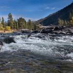 McLoughlin Falls Ranch possesses key stands of riverside forests that benefit river habitat byvkeeping water temperatures low. The Okanogan River supports federally threatened Upper Columbia River Steelhead, as well as one of only two self-sustaining runs of sockeye salmon left in the Columbia Basin.
<em>Ellen Bishop/submitted photo</em>