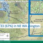 A map showing wolf pack locations within Washington state. The map was presented to the House Agriculture and Natural Resources Committee during a work session on Feb. 1 by the Department of Fish and Wildlife.