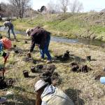 Okanogan CD/submitted photo
Volunteers help to restore 2.5 miles of Antoine Creek with the Okanogan Conservation District, aided by local ranchers and the Colville Confederated Tribes. Oroville High School students also helped to plant several species of native plants along the creek.