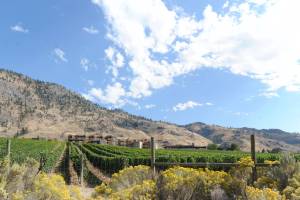 Gary DeVon/GT File Photo