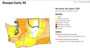 This map from the U.S. Drought Monitor shows most of Washington as either abnormally dry (yellow) or in moderate drought (orange).