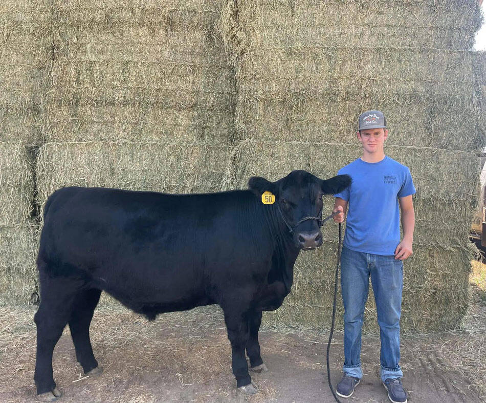 A group of local ranchers approached the sale barn at the Okanogan County Fair with a goal of the miraculous in their hearts and a plan to take young Vance Reeses feeder steer to $20,000. Kristi Reese/submitted photo