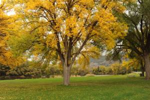 Gary DeVon/staff photo