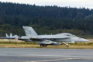An EA-18G Growler taxis down the airstrip on Naval Air Station Whidbey Island during the squadrons welcome home ceremony in August 2017. (U.S. Navy photo by Mass Communication Specialist 2nd Class Scott Wood/Contributed photo)
