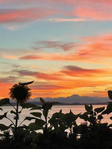 A late night summer sun sets over Puget Sound in West Seattle at 8:44 p.m. WNPA/submitted photo