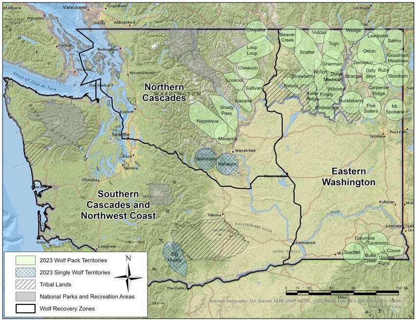 Washingtons wolf packs as of Dec. 31, 2023. <em>Courtesy of WDFW </em>