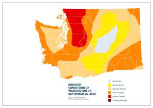Graphic from the DNR and USFS Forest Health Report showing drought conditions in the state as of September 2023. Source: <em>U.S. Drought Monitor </em>