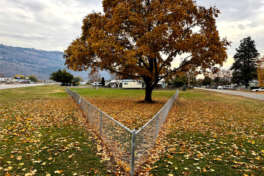 Oroville Housing Authority (OHA) had its Conditional Use Permit approved by the Oroville City Council at their Nov. 5 meeting. The OHA is bringing its multi-family housing and RV park into compliance with the citys municipal codes. <em>Gary De Von/staff photo </em>