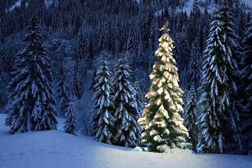 Okanogan-Wenatchee National Forest photo