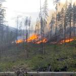 USFS photo
The USFS uses prescribed fires to help reduce overgrown vegetation and hazardous forest fuels to help protect local communities, infrastructure and natural resources from wildfires.
