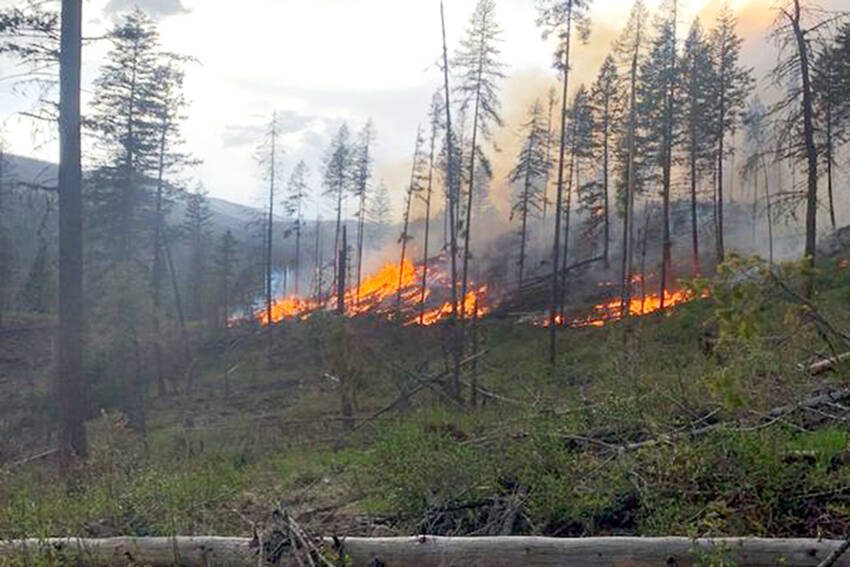 The USFS uses prescribed fires to help reduce overgrown vegetation and hazardous forest fuels to help protect local communities, infrastructure and natural resources from wildfires.. USFS photo