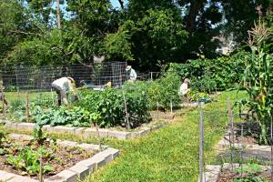 Okanogan County Community Action Council's Harvesting Hope Community Garden initiative is growing across Okanogan County!. These gardens are more than just places to grow fresh produce—they’re spaces for learning, connection, and empowerment. Each garden is built with the local community in mind, reflecting the traditions, cultures and needs of the people who use them. OCOCA photo