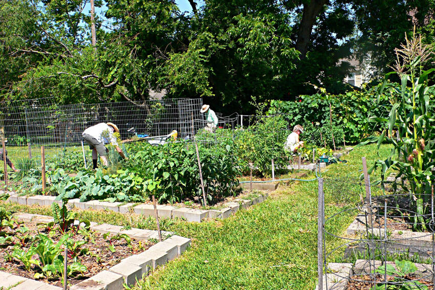 Okanogan County Community Action Council's Harvesting Hope Community Garden initiative is growing across Okanogan County!. These gardens are more than just places to grow fresh produce—they’re spaces for learning, connection, and empowerment. Each garden is built with the local community in mind, reflecting the traditions, cultures and needs of the people who use them. OCOCA photo