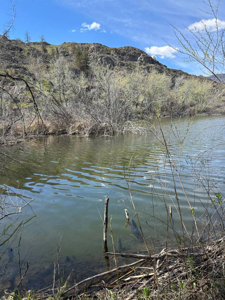 Access to Silver Nail Lake, north of Oroville, will be improved through a Washington State Recreation and Conservation Funding Board grant of $325,000 to the state Department of Fish & Wildlife. The lake is designated by the state for juvenile and senior anglers only. WDFW photo
