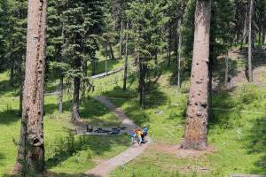 Hiking the Big Trees Trail near the Lost Lake Campground in the Tonasket Ranger District of the Colville National Forest. The Colville National Forest is seeking seasonal workers to do things like trail and facility maintenance, among other jobs. Gary DeVon/GT File Photo