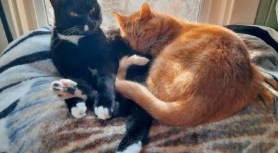 Angela Larson/staff photo