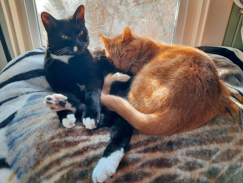 Angela Larson/staff photo